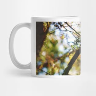 Hidden Damselfly Mug